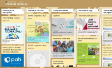 Zdjęcie przedstawia padlet Edukacja Globalna